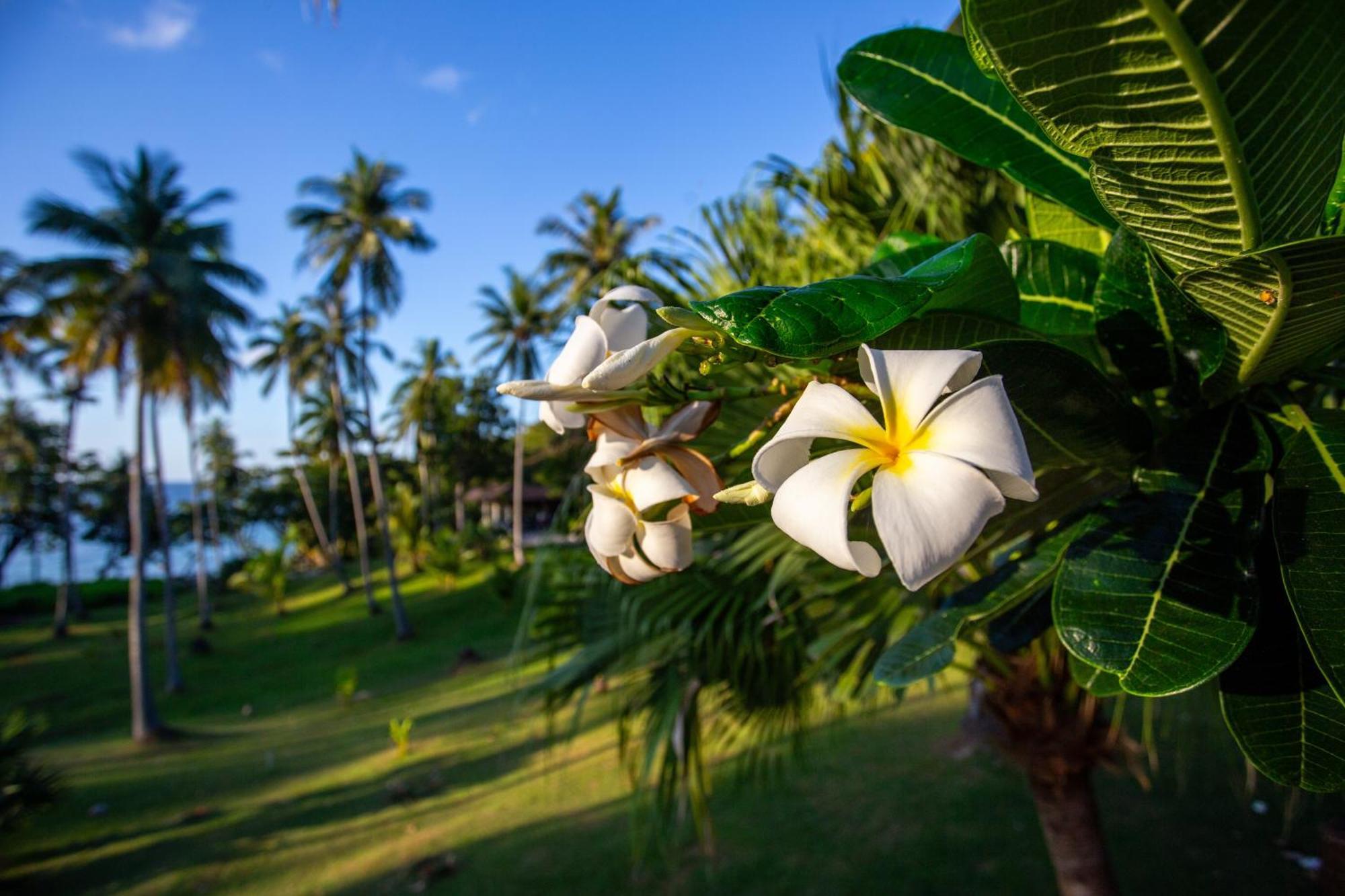 Ban Raya Resort And Spa Ko Racha Yai Exterior foto